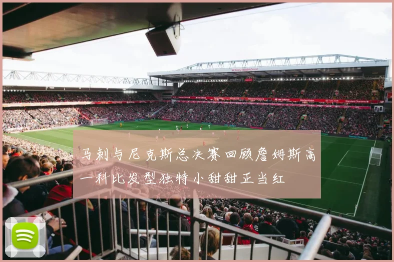马刺与尼克斯总决赛回顾詹姆斯高一科比发型独特小甜甜正当红